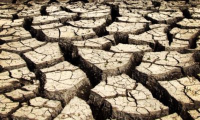 Il cemento sostenibile e lotta ai cambiamenti climatici