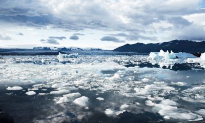 Cambiamenti Climatici ed Ambiente: Caldo record in Antartide