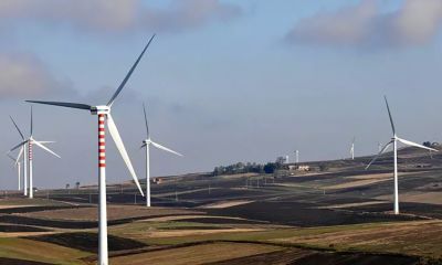 Grande passo avanti nella cultura ambientalista e nella lotta ai cambiamenti climatici in Italia