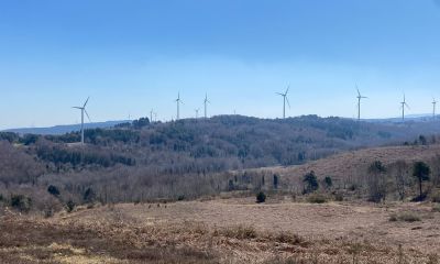 Italia e produzione di energia da fonti rinnovabili - 2021 un anno negativo