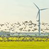 Il I° maggio energia gratis